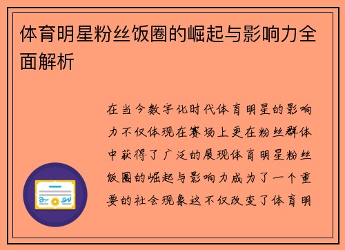 体育明星粉丝饭圈的崛起与影响力全面解析